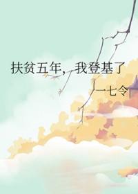 扶贫政策五年
