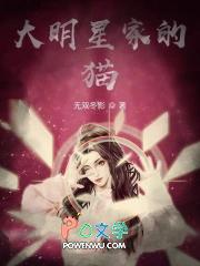 大明星猫爷