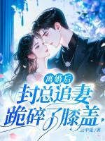 封少追妻免费阅读