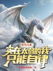 实在太弱的我只能自律无错