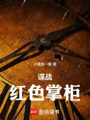 红色谍战电视剧全集