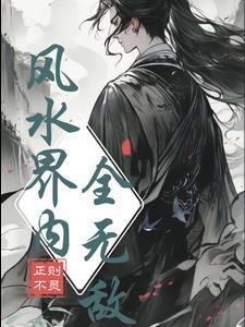 无敌风水先生丐地理