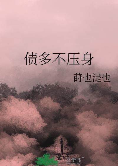 债多不压身前一句是什么意思