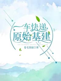 一车快递原始基建TXT