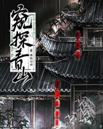 窥探杀青