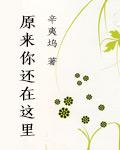 致青春2原来你还在这里辛夷坞