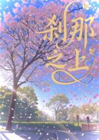 刹那之影