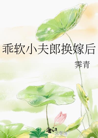 乖软小夫郎换嫁后笔趣阁最新章节更