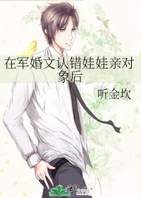 在军婚文认错娃娃亲对象后林夏