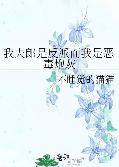 我夫郎是反派而我是恶毒炮灰免费po