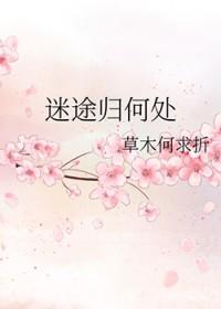 迷途归何处+番外 作者草木何求折