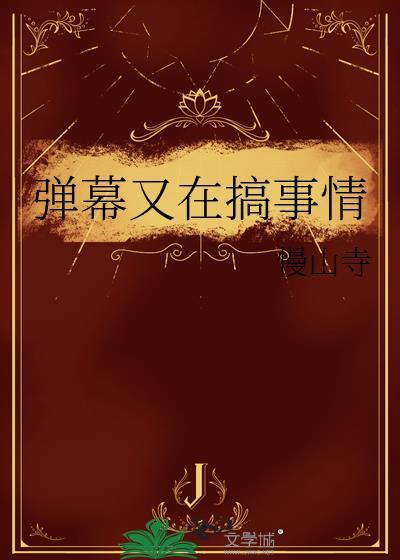 弹幕又没了