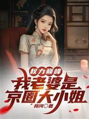 权力巅峰我老婆是京圈大小姐之良平