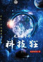 天上掉下一个