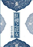 红楼之庶女冲喜