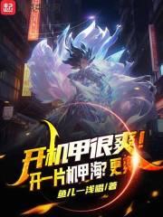 02开机甲姿势