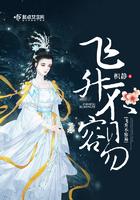 飞升不容易大结局是什么