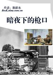 暗夜下的枪口免费观看