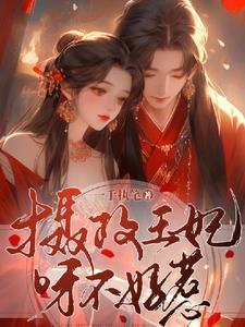 摄政王妃不好惹动漫