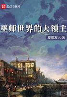 巫师世界大领主