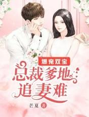 总裁爹地双胞胎儿子