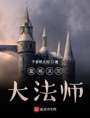霍格沃茨之最强法师
