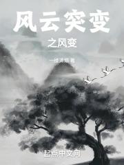 电视连续剧风云突变全集
