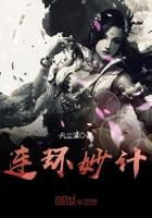 连环妙计的读后感怎么写