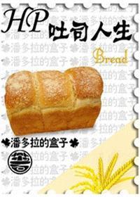 hp土司人生
