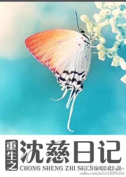重生之沈慈日记 林大阳 著