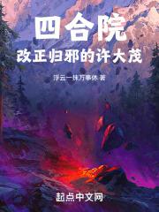 四合院改正归邪的许大茂TXT免费
