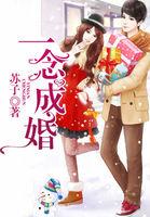 一念成婚txt