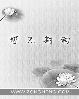 轻点宠无弹窗全文免费