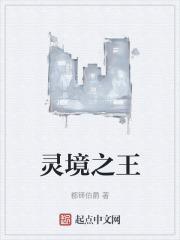灵境之王讲的什么