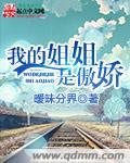 我的姐姐是傲娇无删减