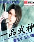 一品武师