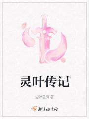 灵叶毛衣图解