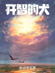开智的表现