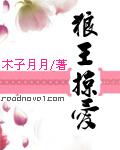 狼王阅读