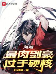 海贼同人剑豪