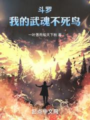 斗罗大陆我武魂是不死鸟武魂