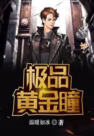 极品黄金瞳TXT电子书