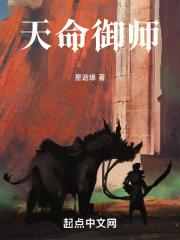 天命御奇所有套路排名