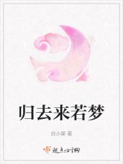 归来若归去什么意思