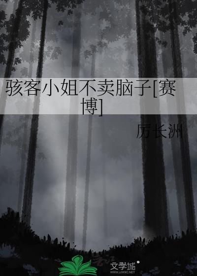骇客小姐不卖脑子[赛博]